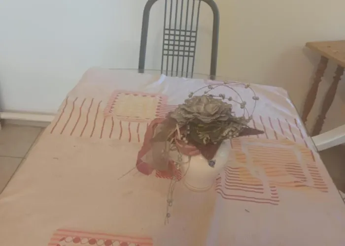 Tapolcai Toparti Feszek Tapolca